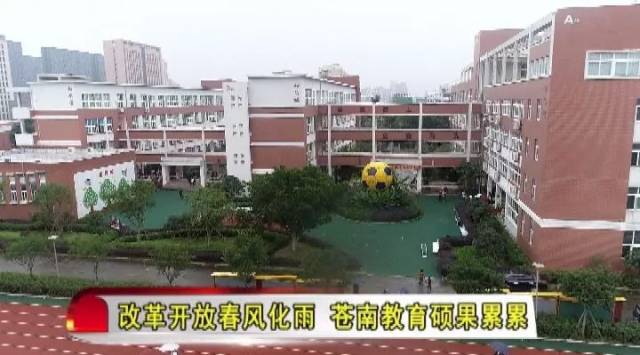 改革开放春风化雨 苍南教育硕果累累-丹江口市第一中学