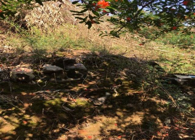 碑名:无,编号:6号,项目:工业园区一号路