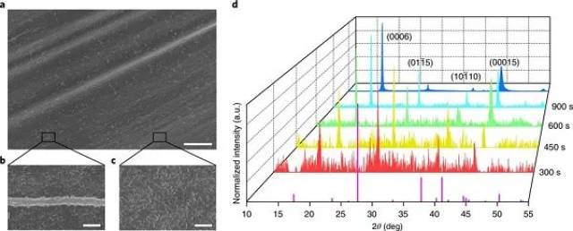 的示意圖 (f)~120 s沉積後所得的雜化材料,插圖是對應的選區衍射圖樣