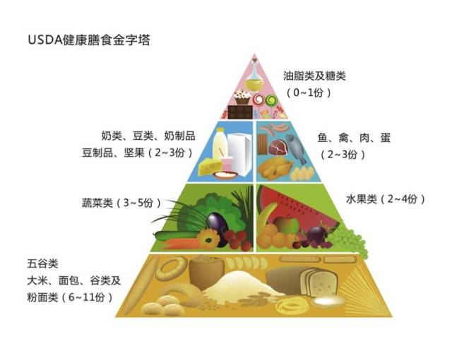 均衡饮食,少食多餐 这是美国农业部颁发的一份权威的健康膳食金字塔