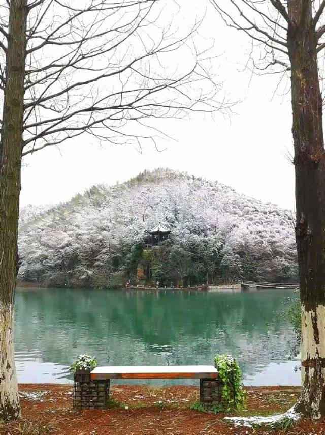 宜兴竹海雪景图片