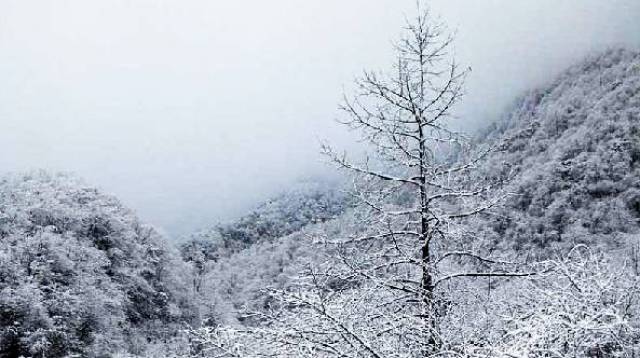 玉林大容山雪景图片图片
