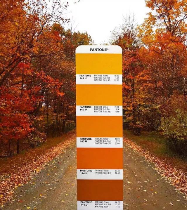 2019流行色珊瑚橙黑成鬼燃橙色却火了