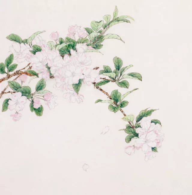 !˽޶˵ĹʺĲ軭,תѧ