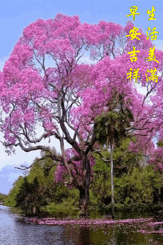 129周日愉快《早安心语》