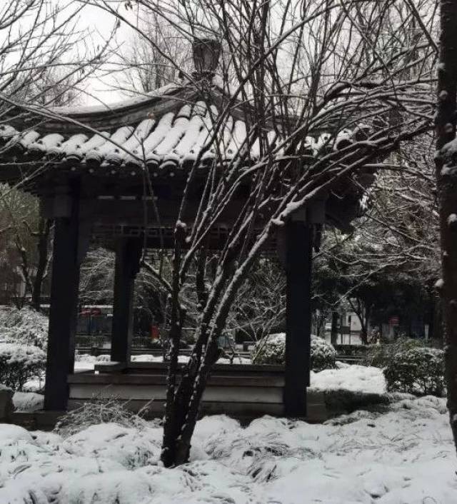 ▌梅花十绝·其九宋·方岳有梅无雪不精神,有雪无诗俗了人.