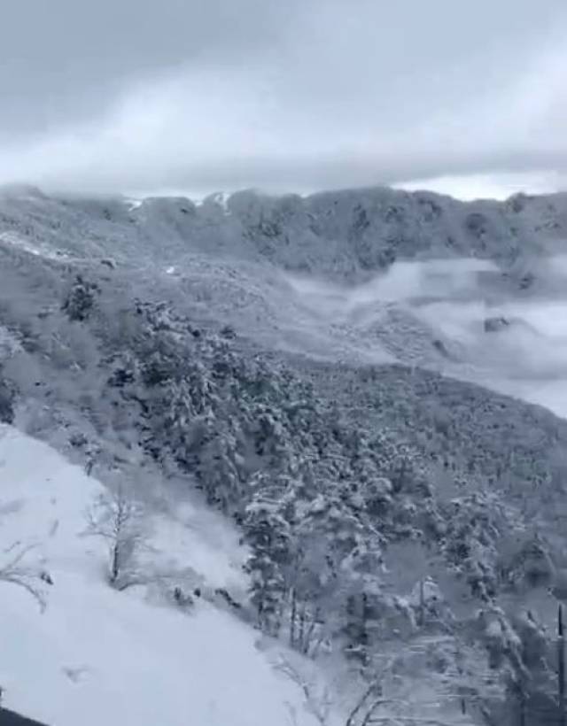 宜宾天宫山下雪了图片