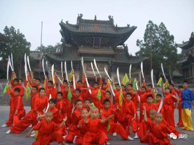 少林武术学校:传承与创新的艺术之旅