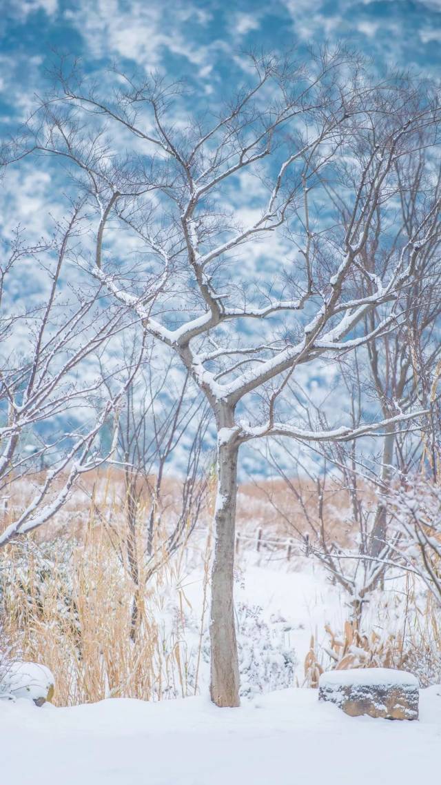 送一波拈花湾超美雪景壁纸给你解馋,拿走不谢!