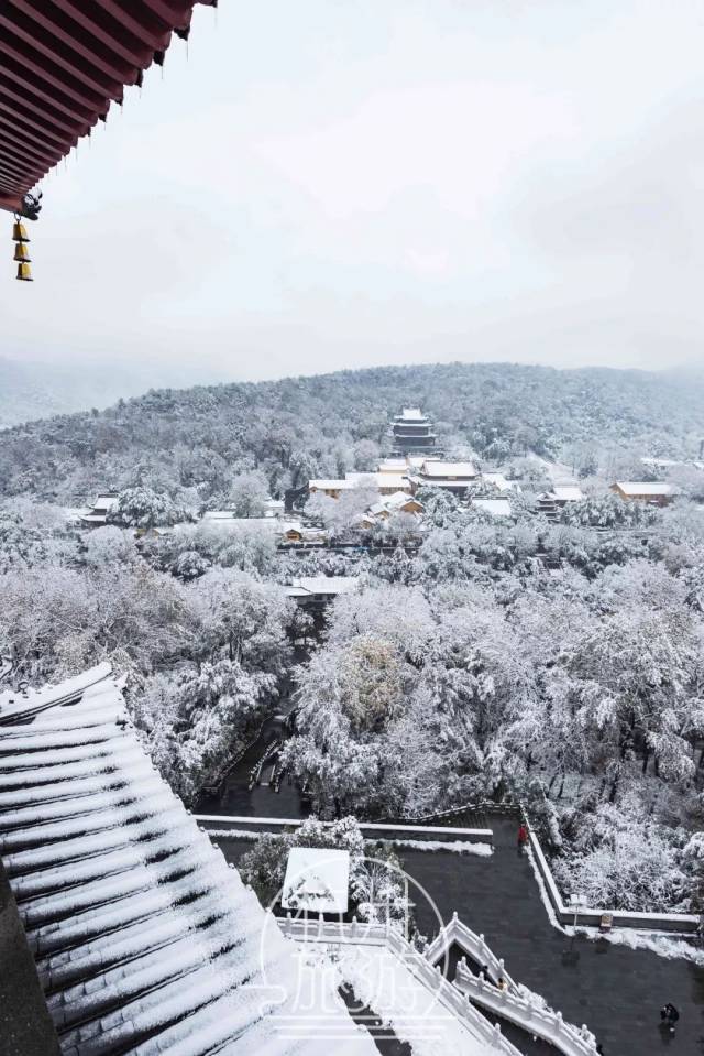 今日杭城雪景实拍!你去看凌晨5点的断桥残雪了吗?