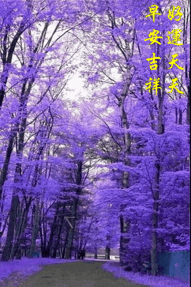 129周日愉快《早安心语》