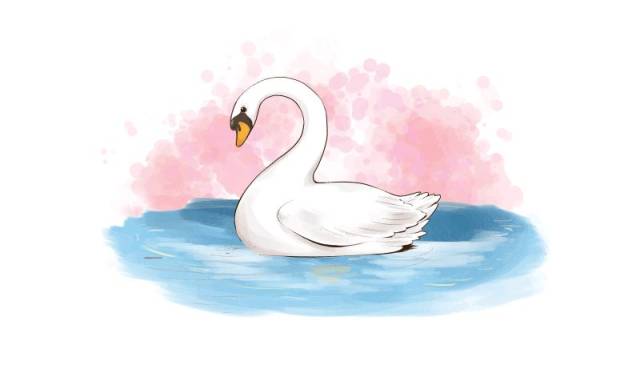 一场邂逅唯美天鹅的公主梦