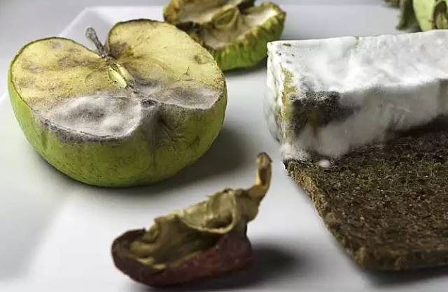 所以对大部分发霉的食物来说