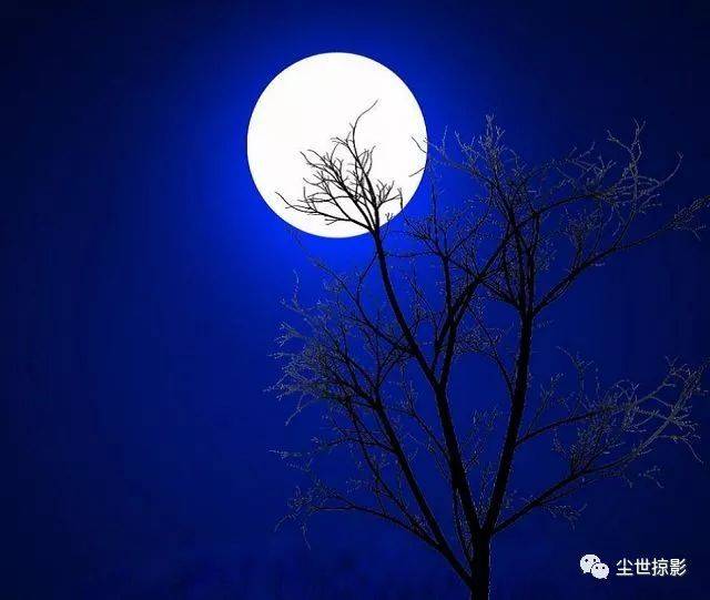 一片云 | 今夜 月明星稀 朗读:碧水青山