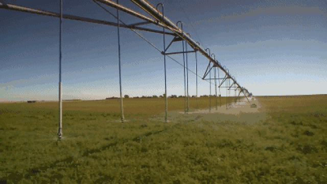 自动灌溉动图图片