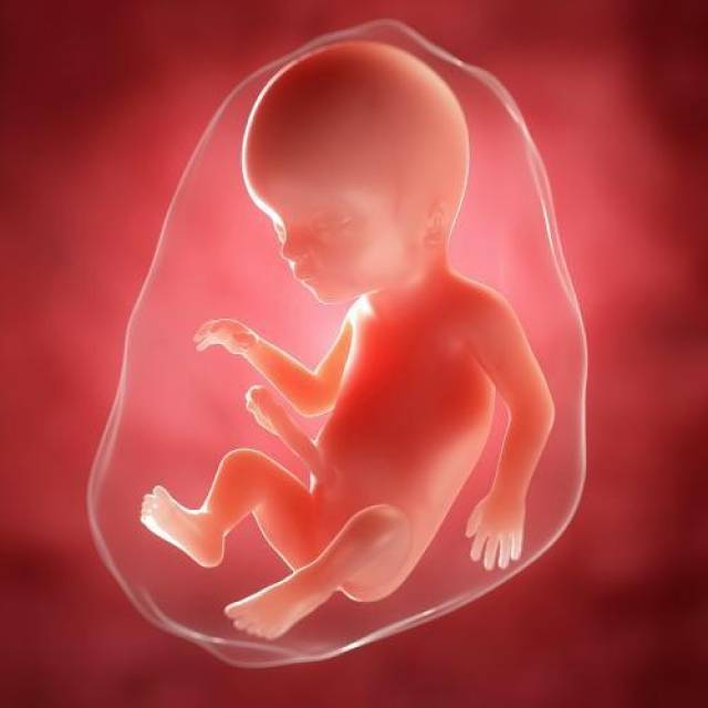 怀孕18周的胎儿是什么样子的?很多准妈妈还不清楚,早知道好一些