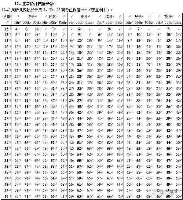 23周肱骨长对照表图片