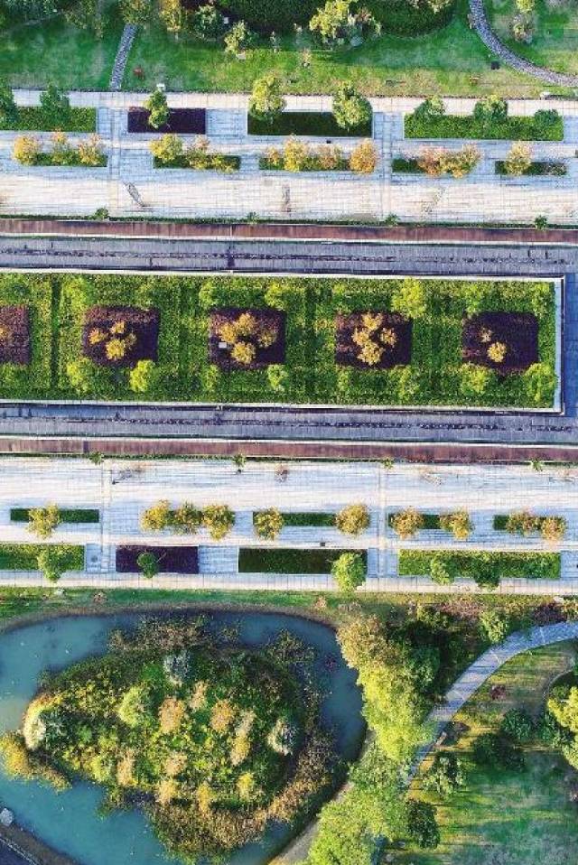 精心设计的景观绿化 似一幅美丽的几何图案 ▼