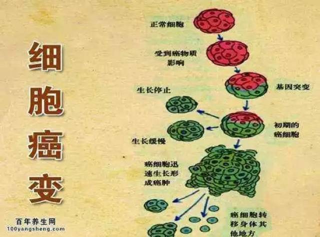 这六种行为会改变你的基因,促成细胞癌变!别再做了!_手机搜狐网