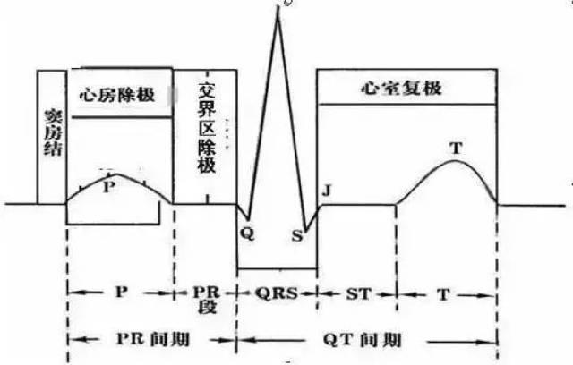 室扑;10室颤; 11心肌梗死5房早与室早;6 心房扑动;7房颤;3