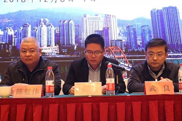 长,吴月台副秘书长,青田县卫计局林毅局长,青田县人民医院武良院长