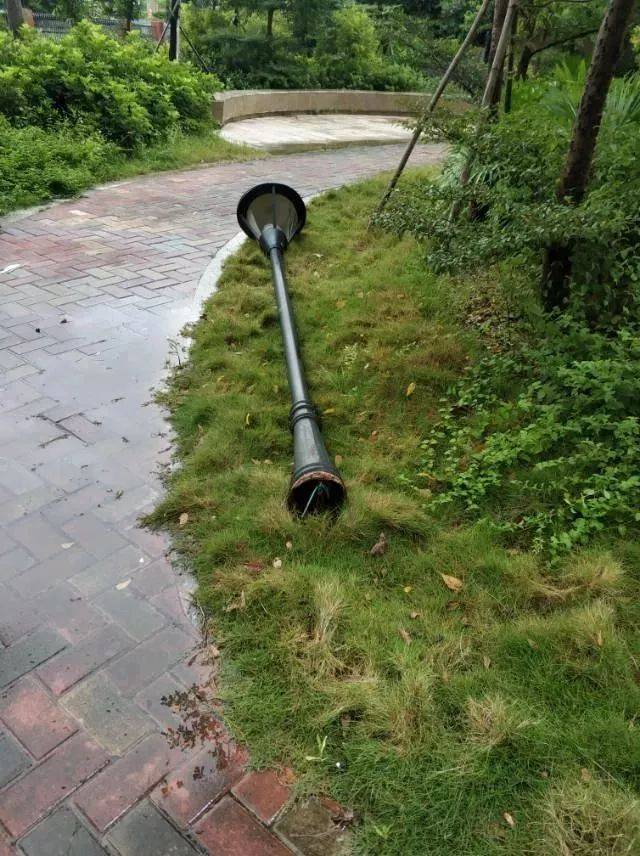 整改说明:白蕉镇工作人员已联系广汇高墅物管处对破损路灯进行修复.