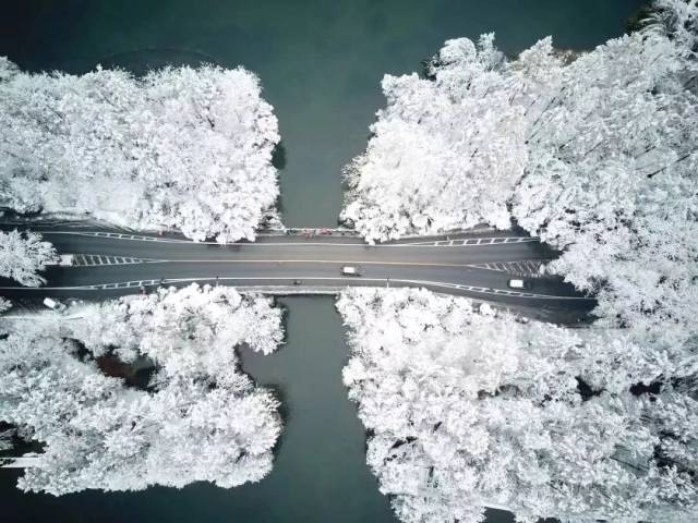 西湖雪景霸屏| 晴湖不如雨湖，雨湖不如雪湖_搜狐网