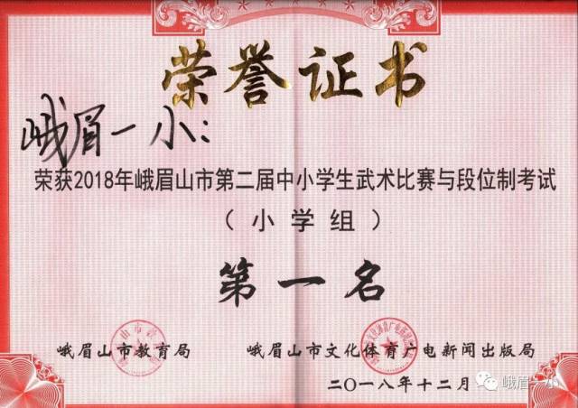 现代武术考段:成人如何进阶武术之巅