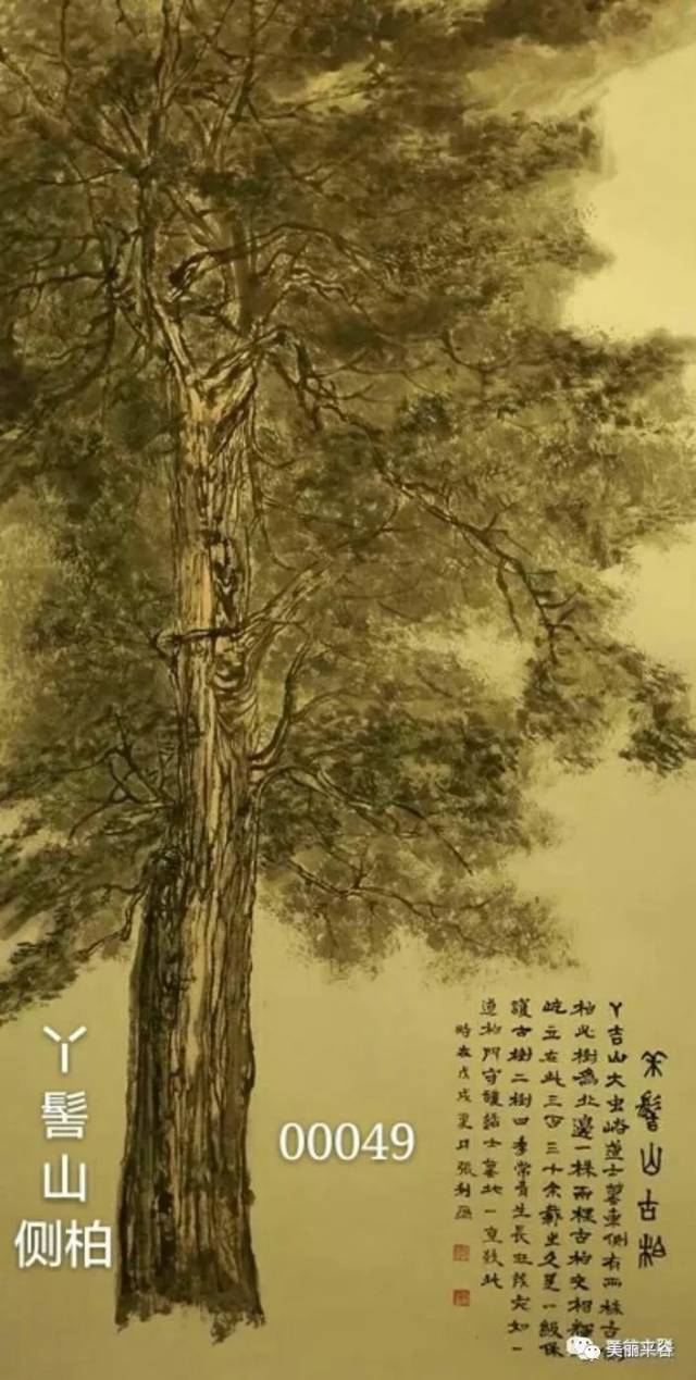 描写古树的诗词七绝,古树七绝诗,千年古树的诗句(第5页)_大山谷图库