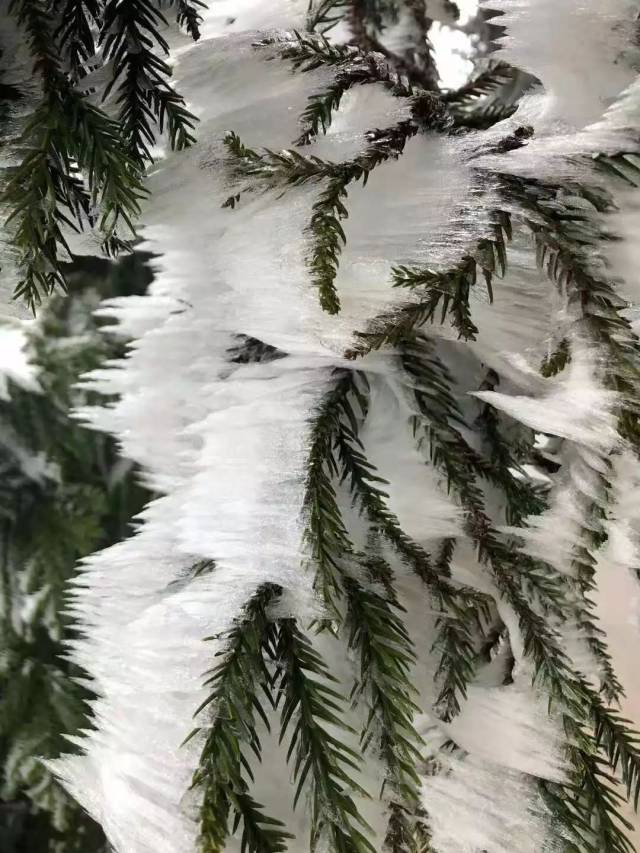 赣县宝莲山雪景图片