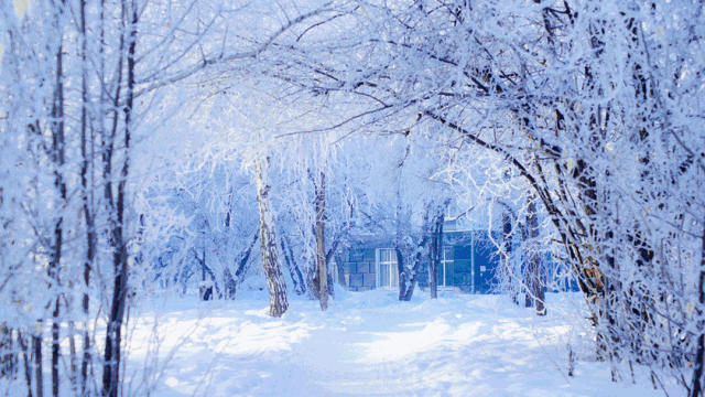 你有一份来自贝加尔湖的邀请函!