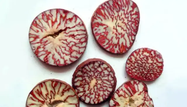 大理石纹(槟榔)