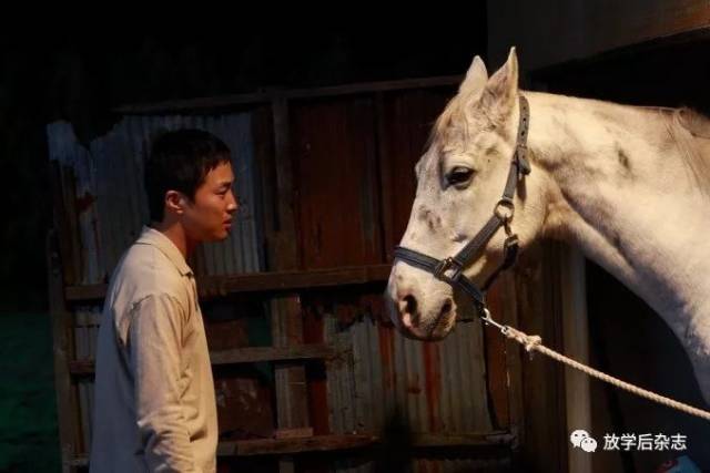 看电影敲打内心的马蹄声