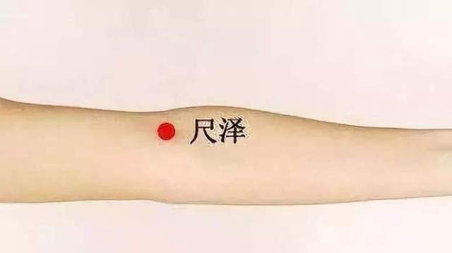 “医”本正经|每天认识一个经脉——手太阴肺经尺泽穴_搜狐网