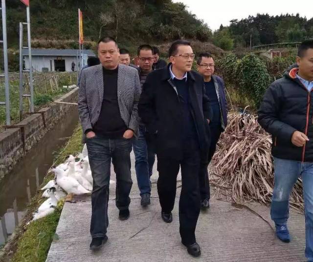 【领导关怀】市扶贫办主任张木生到中山调研脱贫攻坚工作