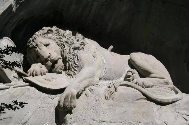 梦境交织，梦见狮子与梦见死人——解梦之旅的深层寓意