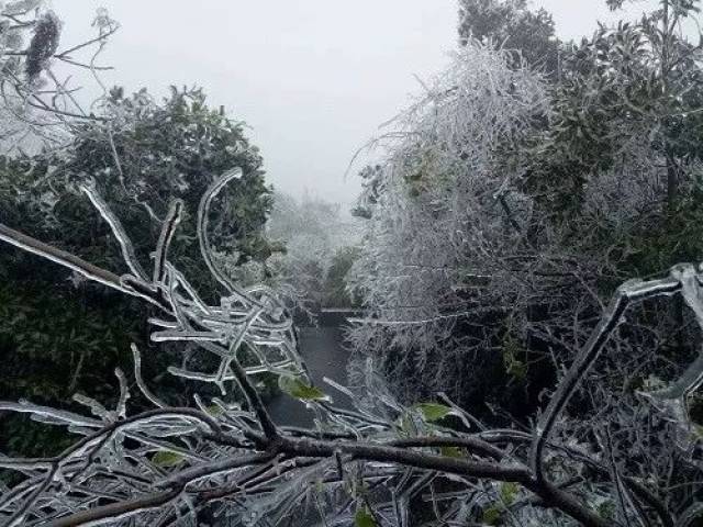 赣县宝莲山雪景图片