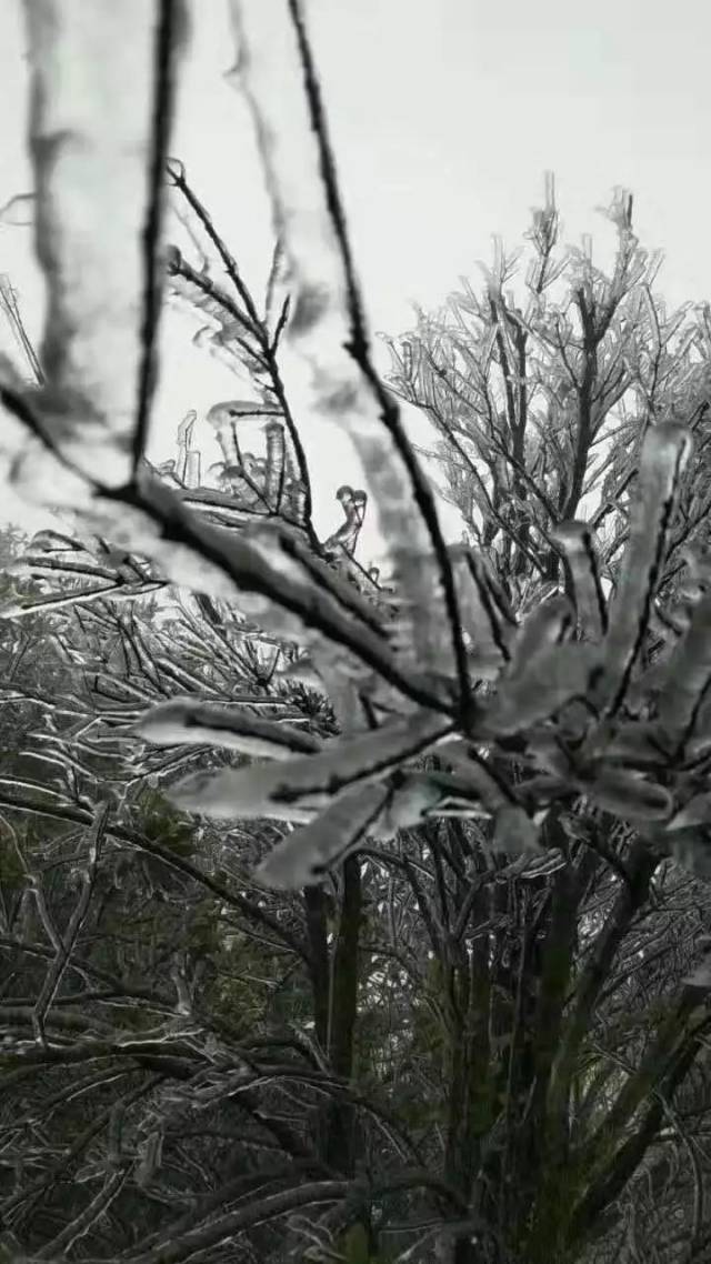 赣县宝莲山雪景图片