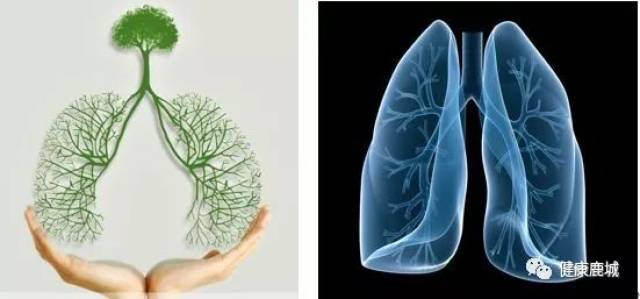 健康知识 | 咳,咳,咳…….秋冬季节,警惕耐药肺结核_手机搜狐网