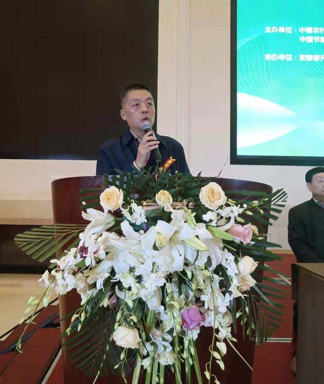 中国农村能源行业协会王正元副会长讲话