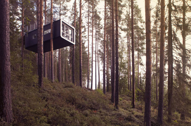 2,树屋酒店(tree hotel)