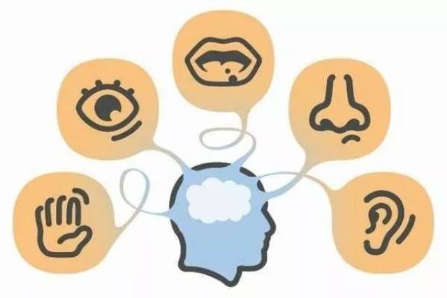 人有六感,分别是视觉,听觉,触觉,味觉,嗅觉以及直觉.