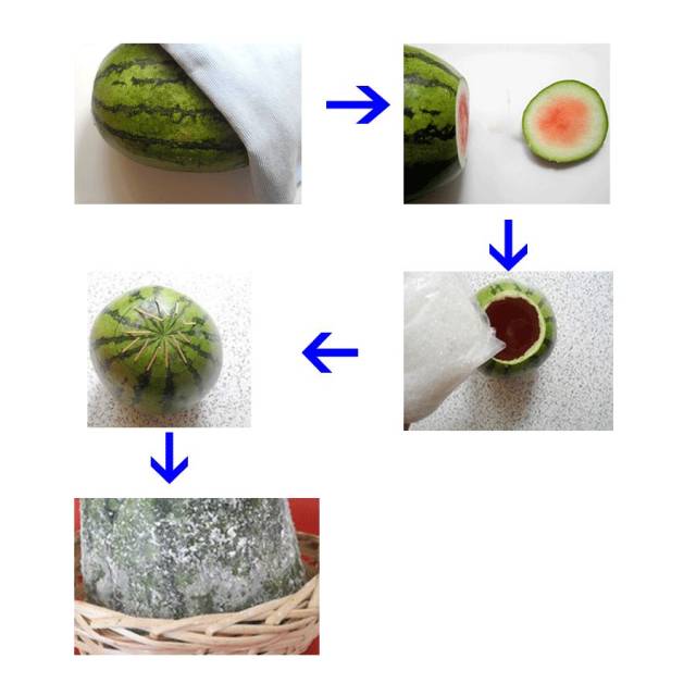 西瓜霜制作方法图片
