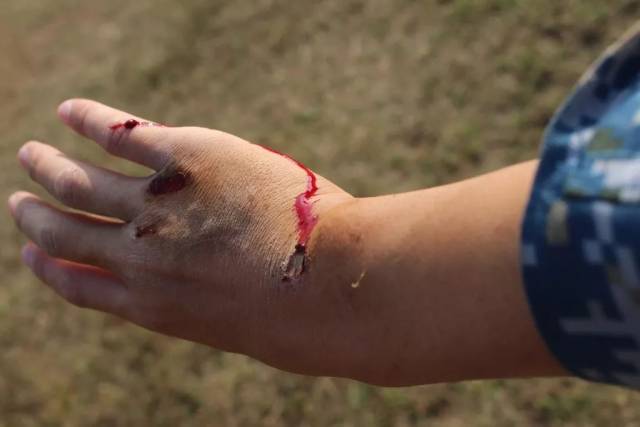 流血流汗不流泪 掉皮掉肉不掉队