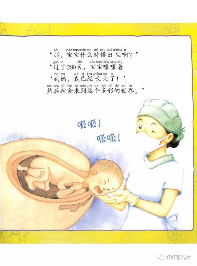 《宝宝是怎么出生的?》哇!原来小宝贝是这么出生的!