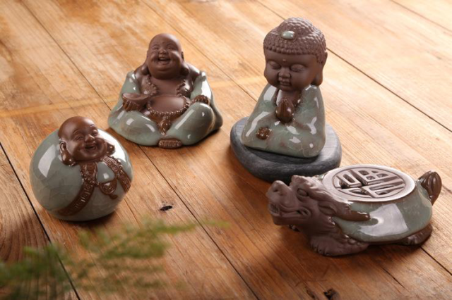 茶宠应该怎么养?