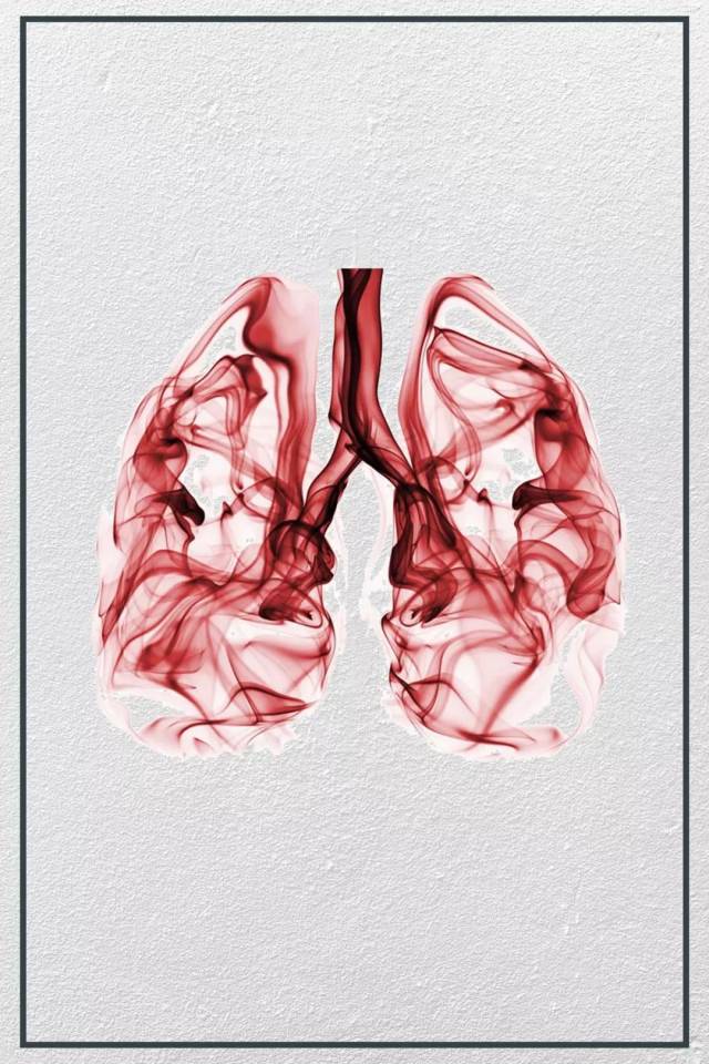 吸烟肺部图片手机壁纸图片