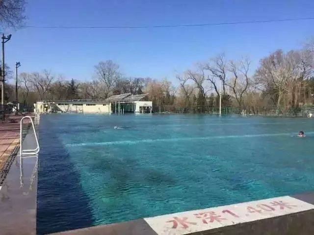 的萌新 還是想學習自由泳蛙泳的小菜 還是剛剛拿到深水證的swimmers