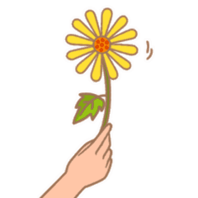 近万盆菊花竞相绽放!