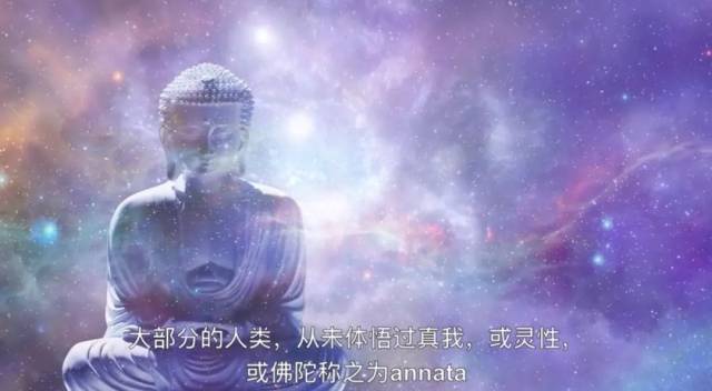 一曲颂钵音乐《三摩地》|一首诗|一部电影|陪你度过不一样的一天